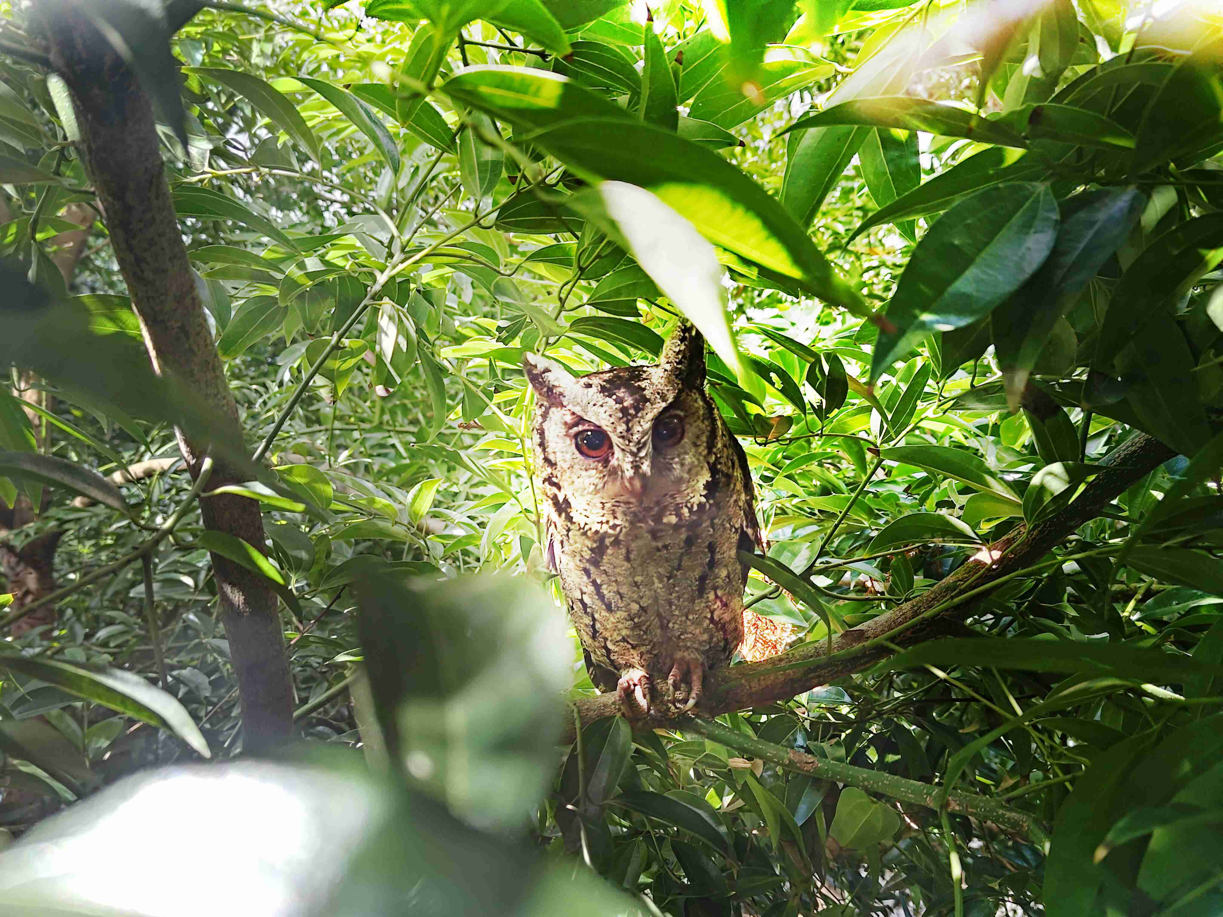 z6尊龙致力提倡净零绿生活，，，，16年以来在全球各厂区植树逾百万棵，，，造就各厂区树木蔚然成林，，犹如森林工厂，，成为许多生物的栖息地